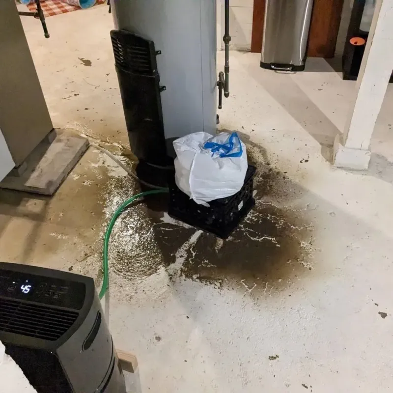 Sewage Backup Cleanup Service in Corinth, NY